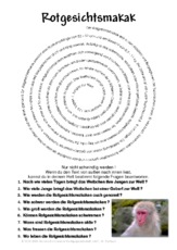 Rotgesichtsmakak.pdf